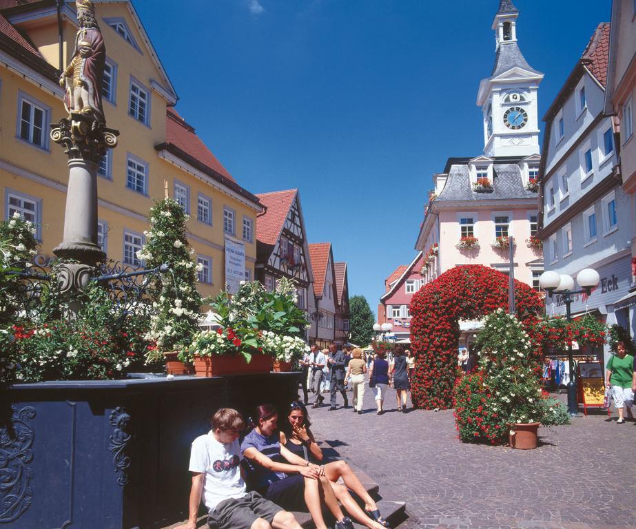 Boutiquehotel Goldhahn Bio Sport & Wellness Аален Екстериор снимка